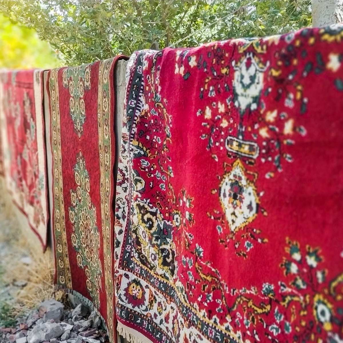 Halı kurutma işlemi